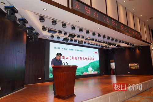 第二届“大别山上红旗飘”主题传播活动在大悟成功举办，多元文化艺术交流点燃红色激情